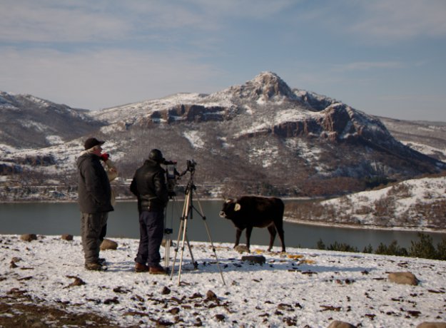 ��� � ��� � ��������� : 004