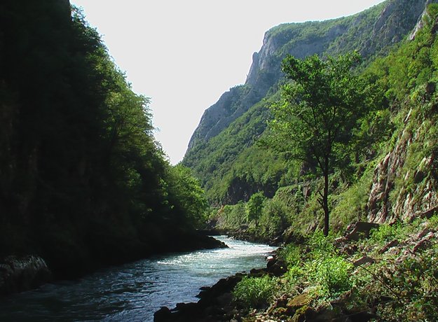 ����� - ����� : 014