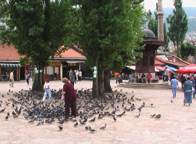 ����� - ����� : 034